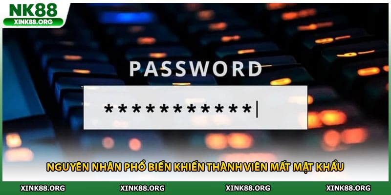 Nguyên nhân phổ biến khiến thành viên mất mật khẩu